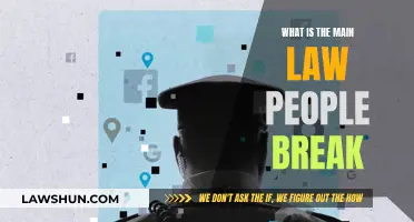 The Most Common Law that People Break