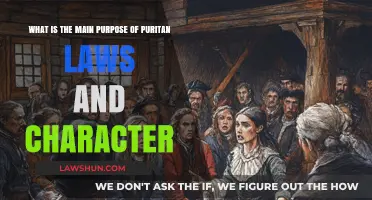 Puritan Laws and Character: Shaping Morality and Social Order