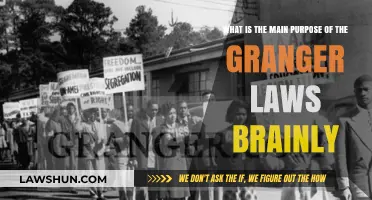 Understanding the Granger Laws: Their Primary Purpose Explained