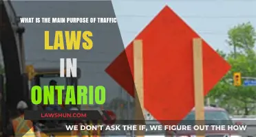 Understanding Ontario's Traffic Laws: Ensuring Safety and Order on the Roads
