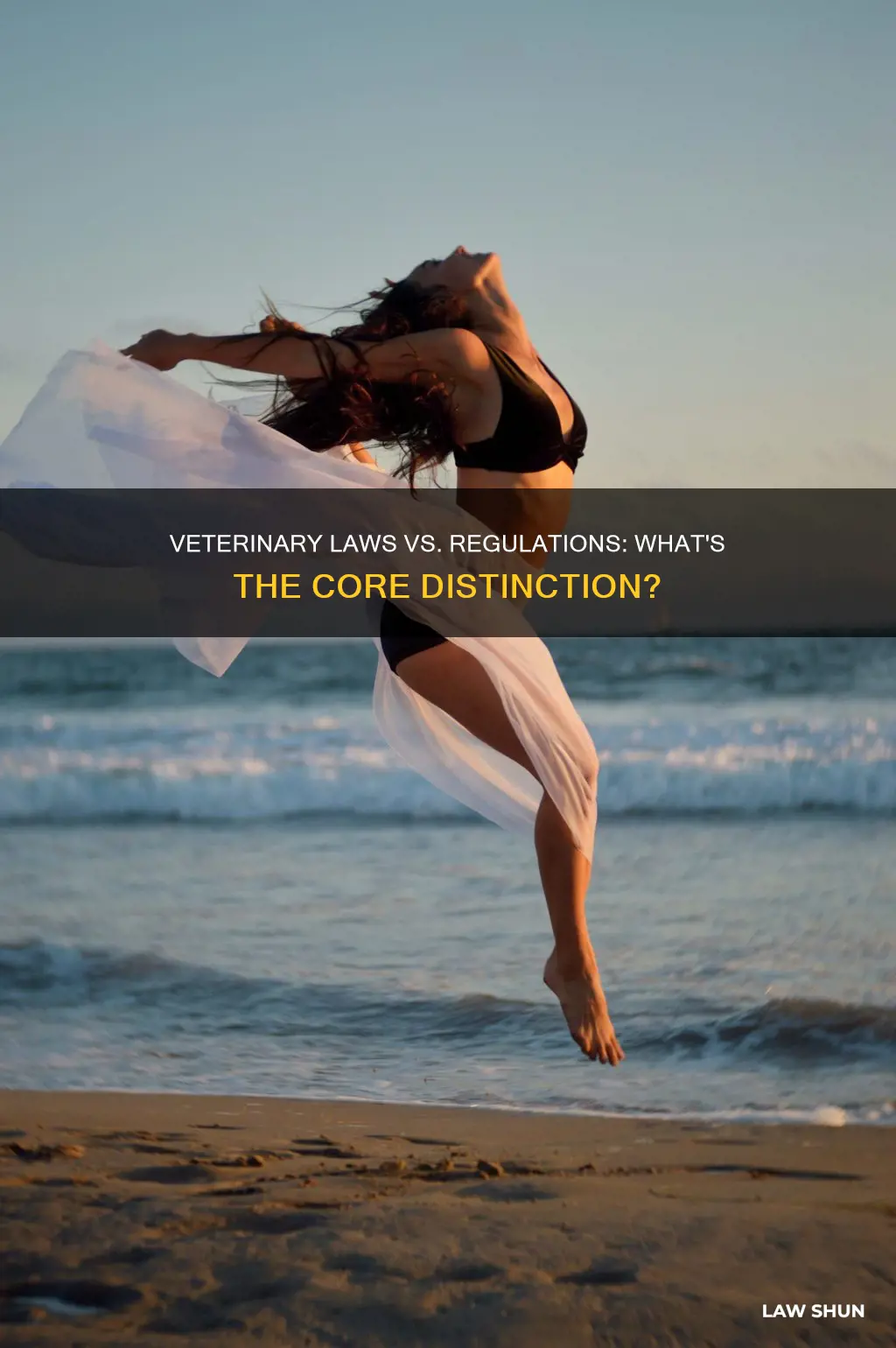 what is the major difference between veterinary laws and regulations