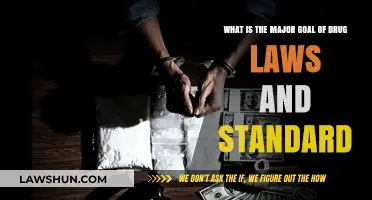 Understanding Drug Laws: Safeguarding Public Health and Safety Standards