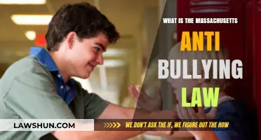 Understanding Massachusetts Anti-Bullying Law: Protections and Requirements Explained