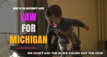 Understanding Michigan's Maternity Leave Laws: Rights and Benefits Explained