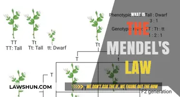 Unraveling the Mysteries of Heredity: Mendel's Laws Explained