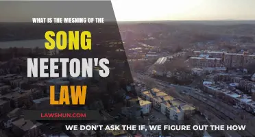 Unraveling the Meaning Behind the Song Newton's Law: A Deep Dive