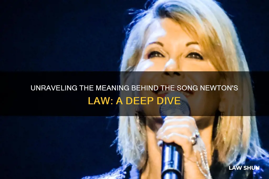 what is the mesning of the song neeton