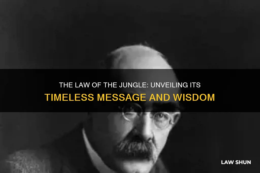 what is the message of the law of the jungle