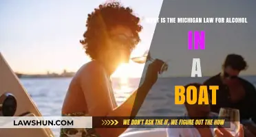 Michigan's Boat Alcohol Laws: What You Need to Know