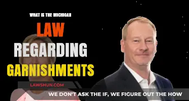 Understanding Michigan's Wage Garnishment Laws: A Comprehensive Legal Overview