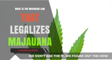 Understanding Michigan's Marijuana Legalization Law: What You Need to Know