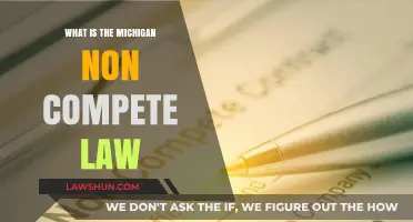 Understanding Michigan's Non-Compete Law: Key Provisions and Implications