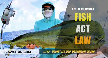 Understanding the Modern Fish Act: Key Provisions and Impact