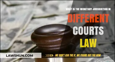 Understanding Monetary Jurisdiction in Courts of Law