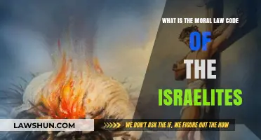 Understanding the Israelites' Moral Law Code: Principles and Practices