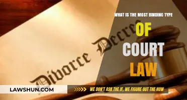 Understanding the Most Binding Court Law: A Comprehensive Legal Overview