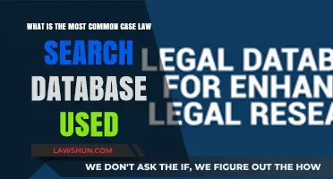 Case Law Search: Most Popular Database Options