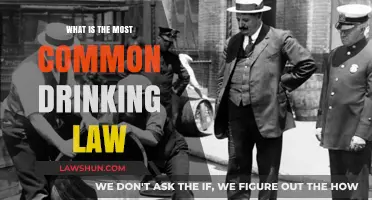 Drinking Laws: A Global Perspective