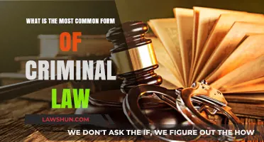 Criminal Law: Most Common Charges and Their Nature
