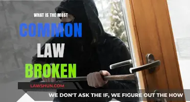 Laws Most Often Broken: What Are They?
