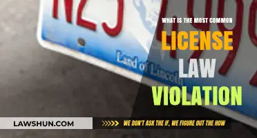 License Law: Common Violations and How to Avoid Them