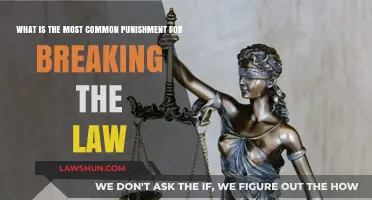 Punishments for Lawbreakers: Exploring Common Penalties