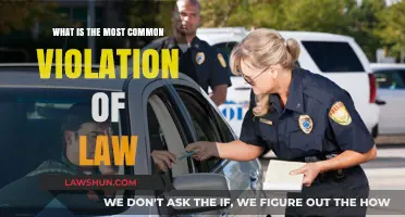 Common Legal Violations: What Are They?