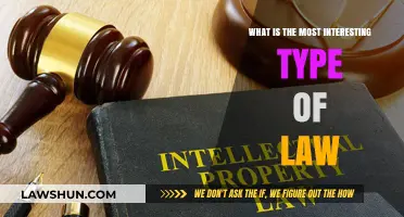 Exploring the Fascinating World of Intellectual Property Law