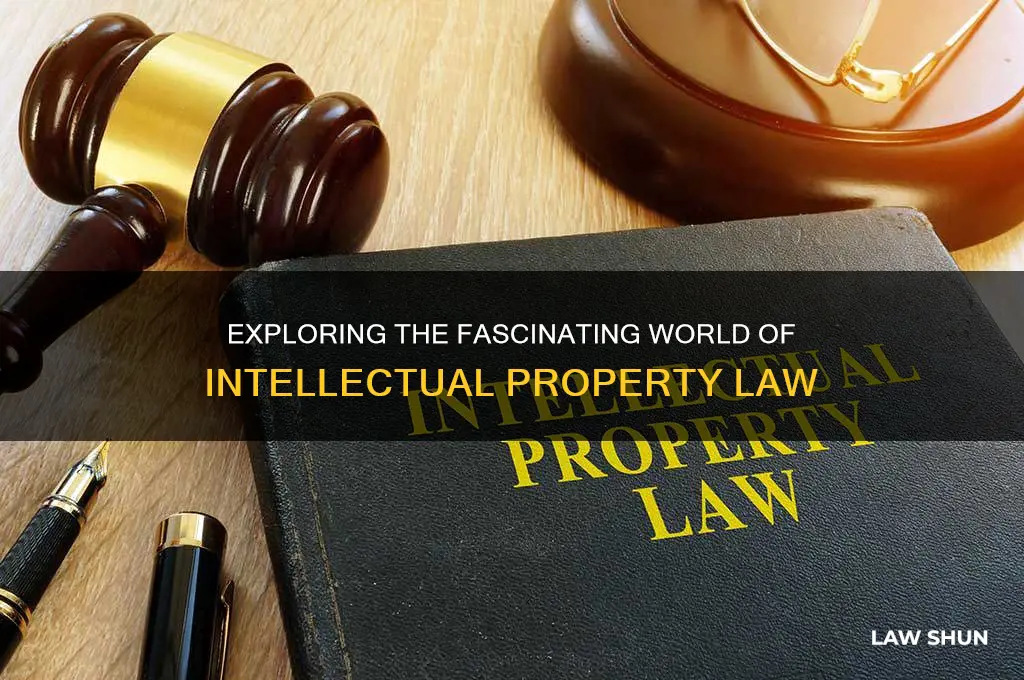 what is the most interesting type of law