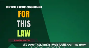 Understanding the Core Motivation Behind This Controversial Law's Enactment