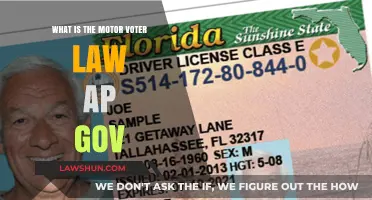 Understanding the Motor Voter Law: AP Gov Explained Simply