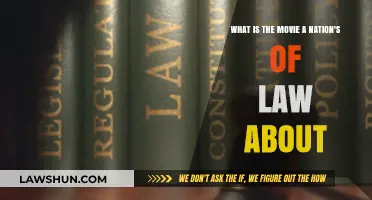 A Nation's of Law: Unraveling the Movie's Legal and Moral Themes