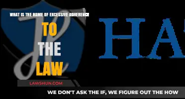 Legalistic Overcompliance: Understanding Excessive Adherence to the Law