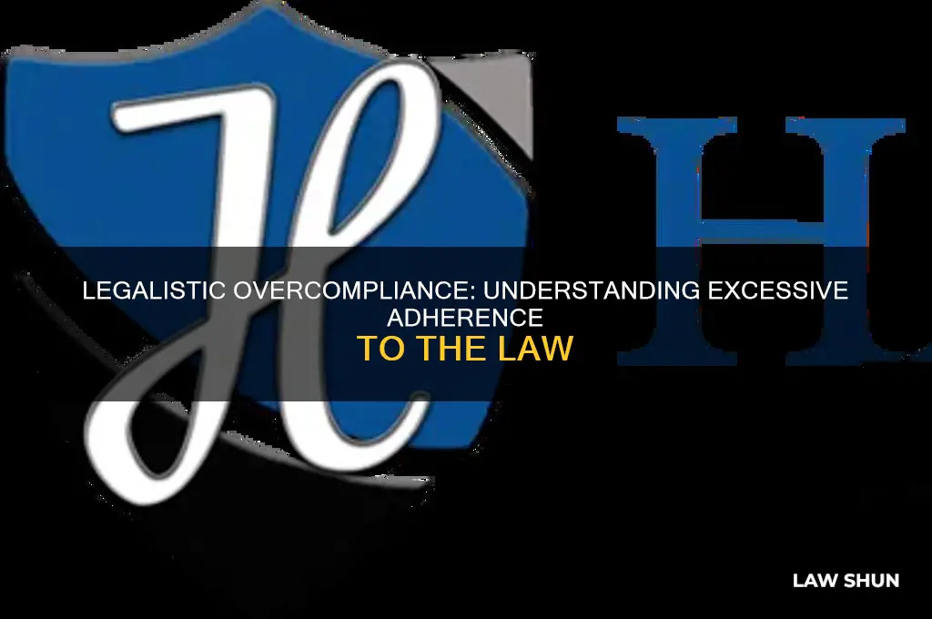 what is the name of excessive adherence to the law