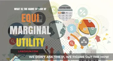 Understanding the Law of Equi-Marginal Utility: A Comprehensive Guide