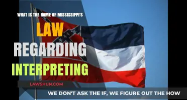 Understanding Mississippi's Law on Interpreting: A Comprehensive Guide