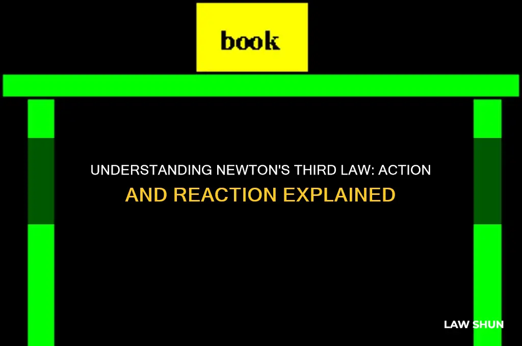 what is the name of the 3rd law of motion