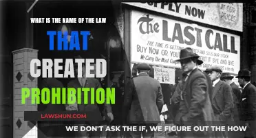 The Volstead Act: Prohibition's Legal Foundation