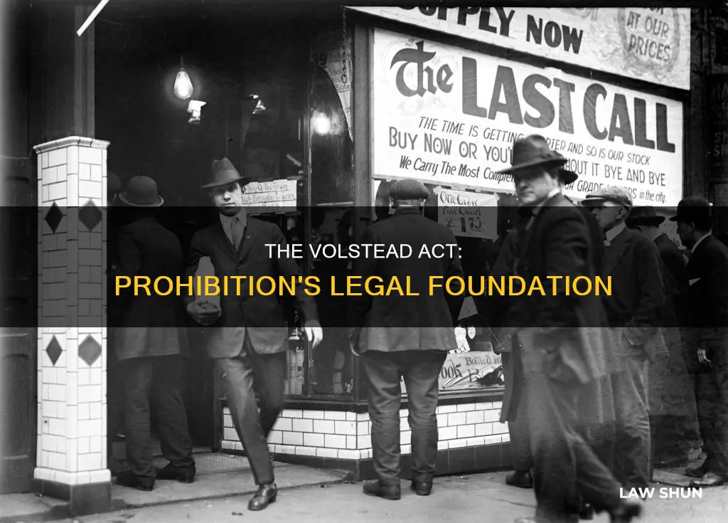 what is the name of the law that created prohibition