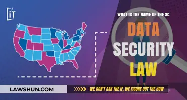 Understanding South Carolina's Data Security Law: Name and Key Provisions