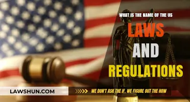 Understanding US Legal Framework: Laws, Regulations, and Their Names