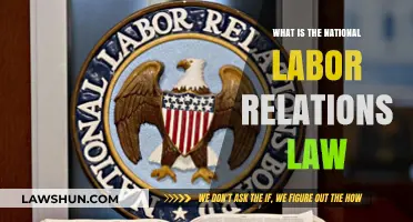 Understanding the National Labor Relations Law: Rights, Protections, and Impact