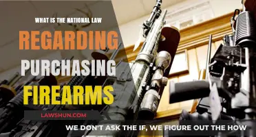 Understanding National Firearms Laws: A Guide to Legal Gun Purchases