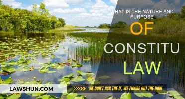 Constitutional Law: Nature, Purpose, and Scope