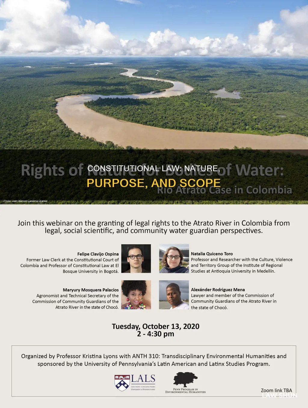 what is the nature and purpose of constitutional law