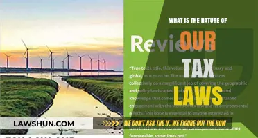 Understanding Tax Laws: Nature and Complexity