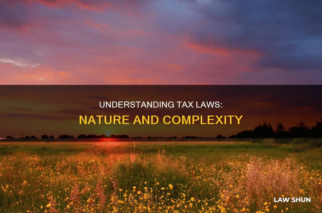 what is the nature of our tax laws