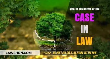 Understanding the Nature of a Legal Case