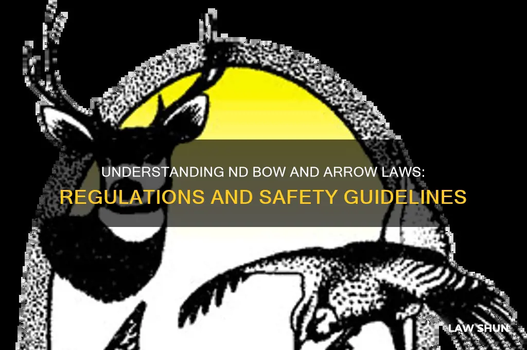 what is the nd law relative to bow and arrow