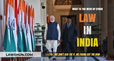 Why India Needs Cyber Law: Protecting Digital Lives and Economy